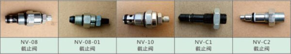 NV - Image 2